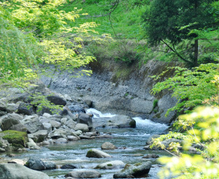 富山県朝日町 自然の中